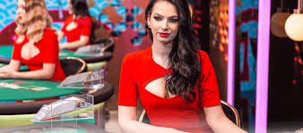 fish frenzy APP Slots Mobile ကစားသမား Myanmar MMK ငွေသွင်းငွေထုတ
